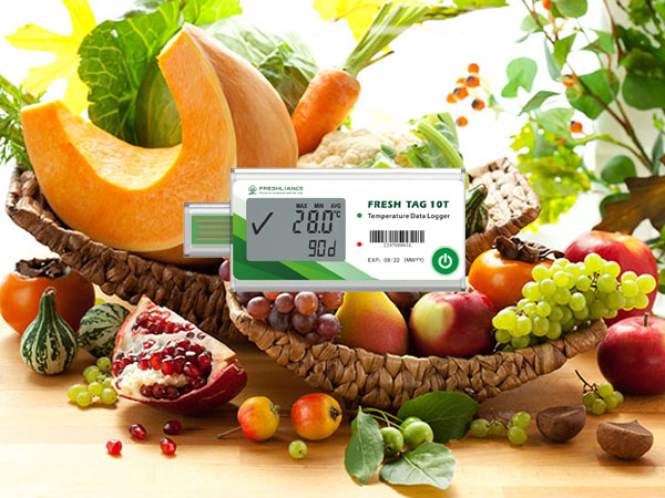 Convenient single use temperature data logger for fruit transportation