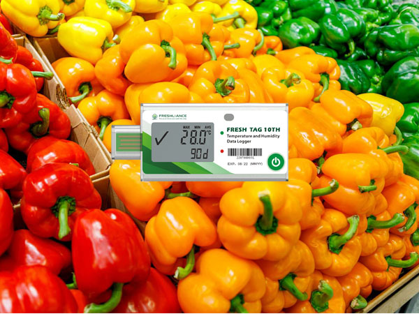 Disposable Temperature Humidity Data Logger for Pepper Storage