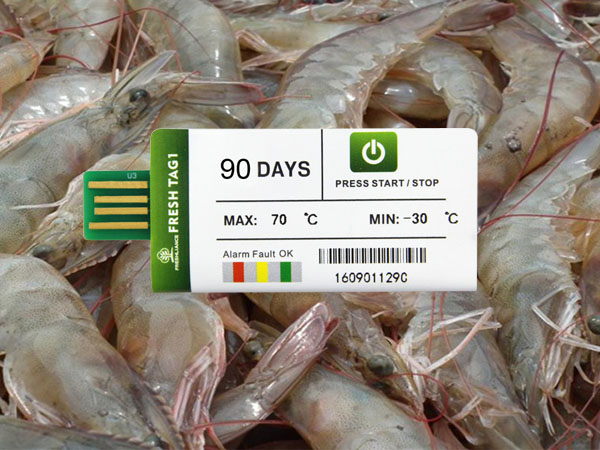 PDF temperature datalogger for cold chain transportation of shrimp