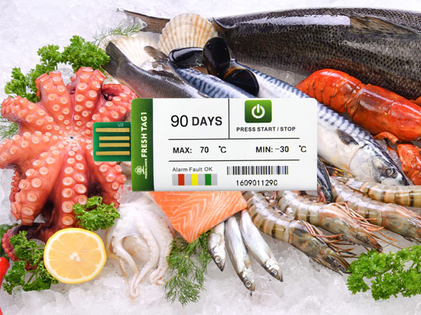 30-day seafood disposable temperature recorder